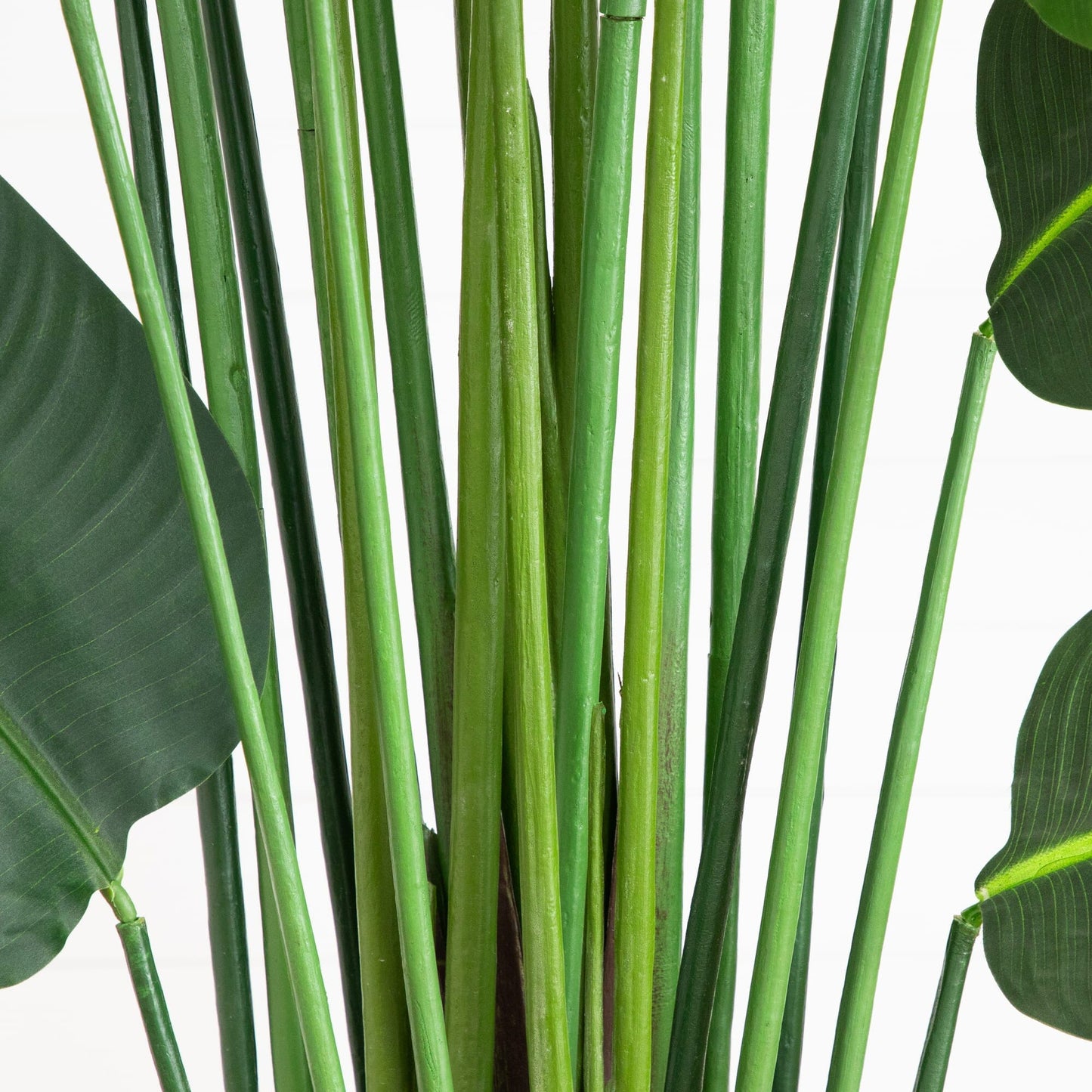 12' artificial Traveler's Palm Tree by Nearly Natural with green stalks and broad leaves on Tampa Home & Garden Store