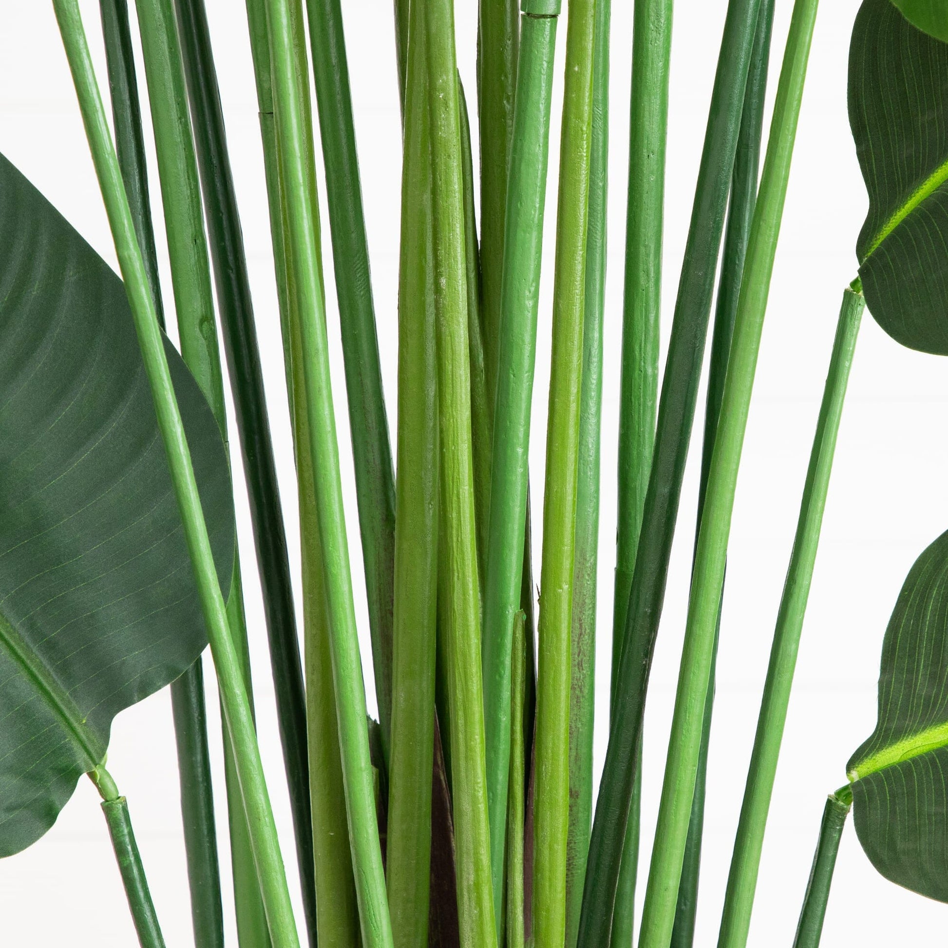 12' artificial Traveler's Palm Tree by Nearly Natural with green stalks and broad leaves on Tampa Home & Garden Store