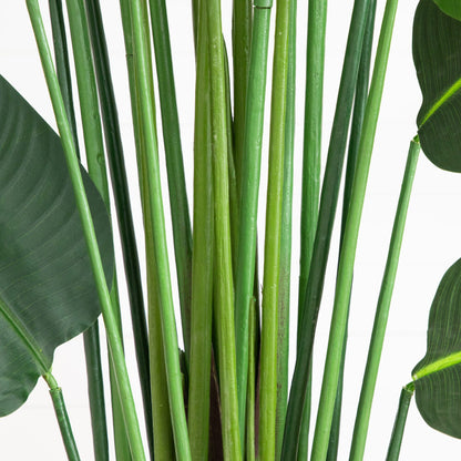 12' artificial Traveler's Palm Tree by Nearly Natural with green stalks and broad leaves on Tampa Home & Garden Store