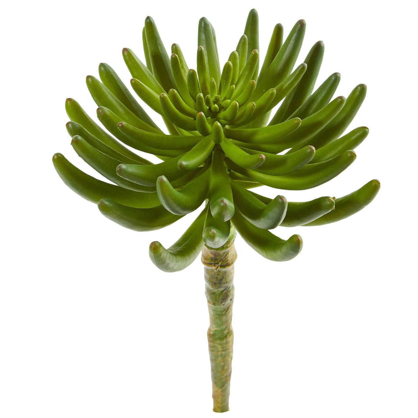 Planta artificial suculenta de 30 cm (juego de 6)