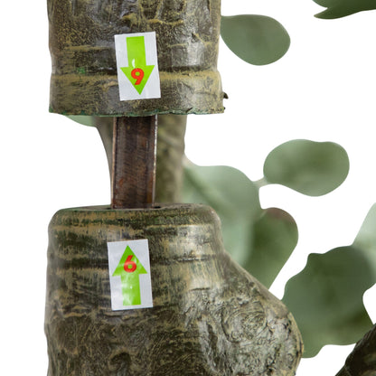 13’ Artificial Eucalyptus Tree trunk close-up with bark and green leaves Nearly Natural on Tampa Home & Garden Store