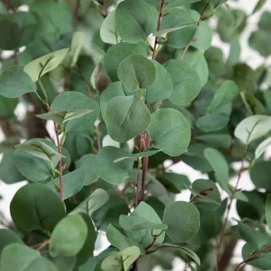 13’ Artificial Eucalyptus Tree leaves closeup with round blue-green foliage on slender red stems on Tampa Home & Garden Store