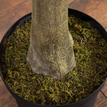 Nearly Natural 13’ Artificial Eucalyptus Tree trunk in a black pot with moss on Tampa Home & Garden Store