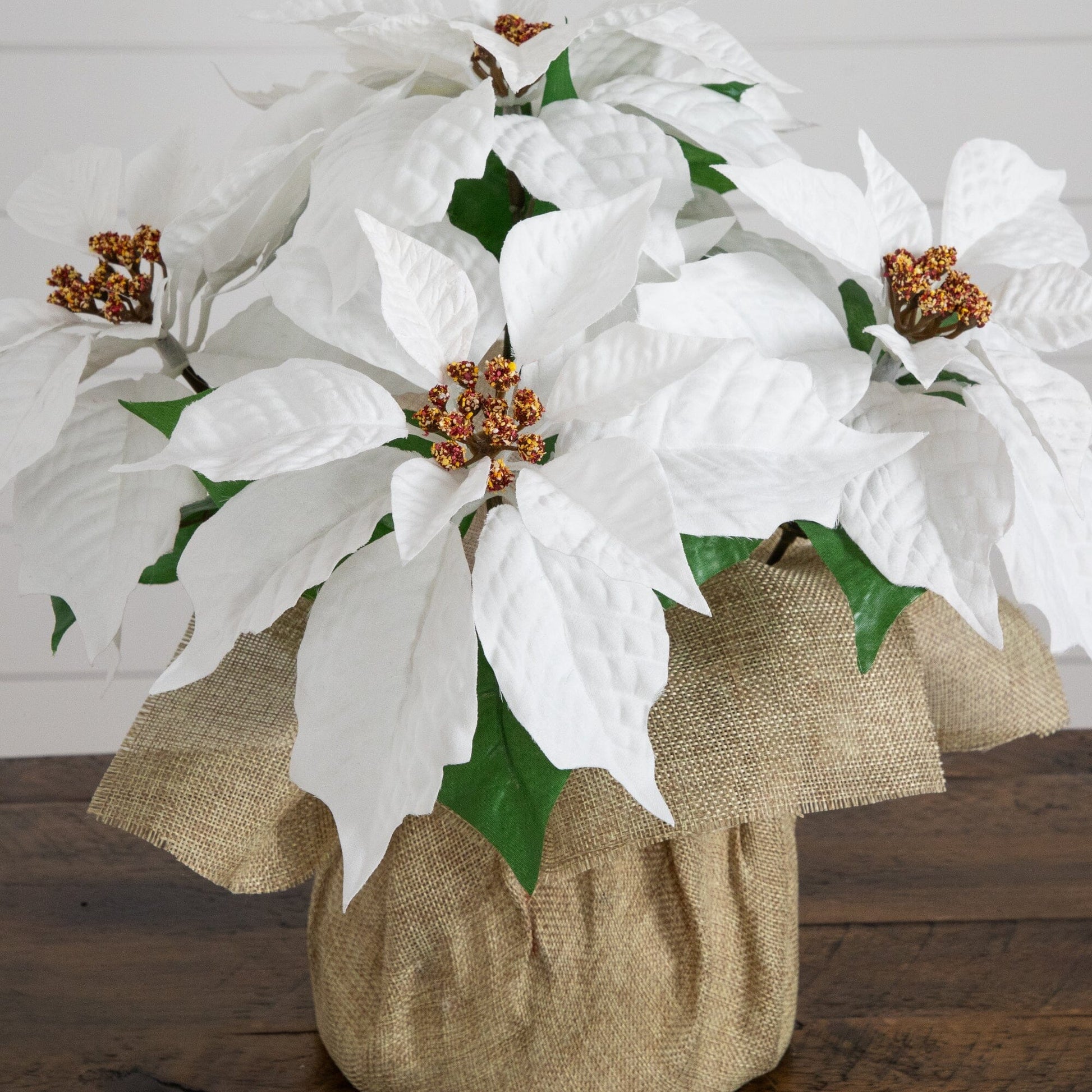 13in Artificial Poinsettia Arrangement in Burlap Planter Set of 2 with white bracts on Tampa Home & Garden Store