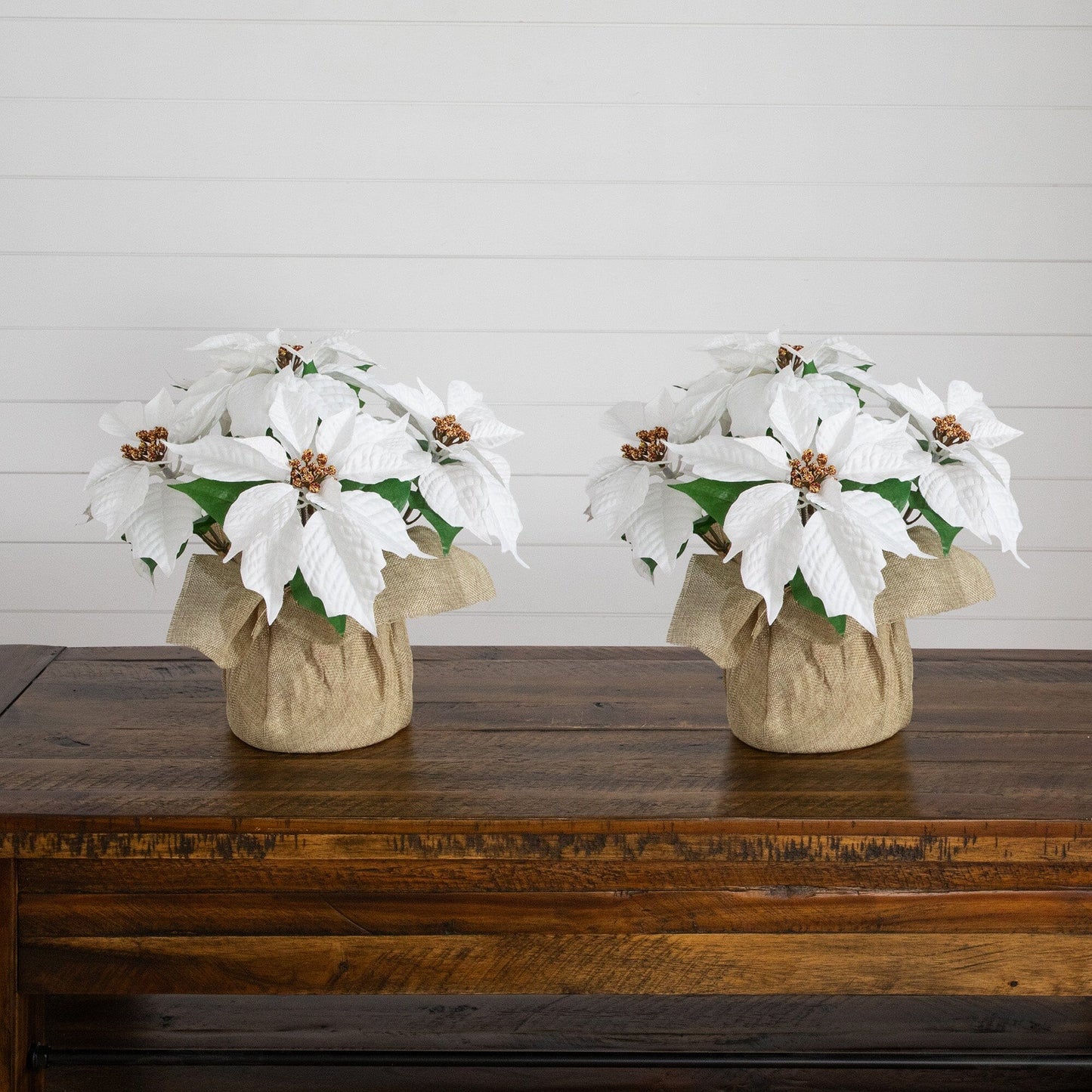 Set of 2 13-inch artificial poinsettia arrangements in burlap planters with white blooms on Tampa Home & Garden Store