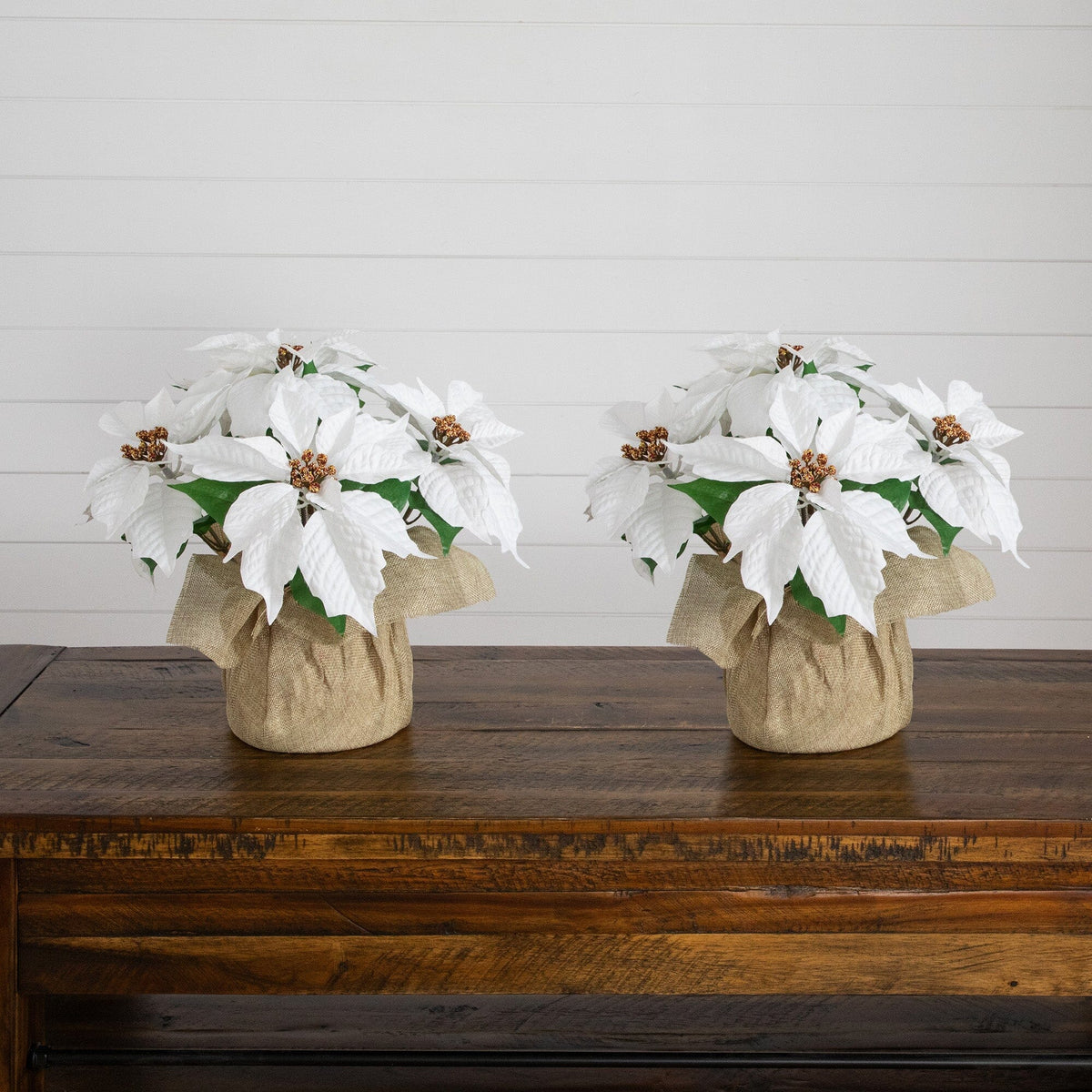 Set of 2 13-inch artificial poinsettia arrangements in burlap planters with white blooms on Tampa Home & Garden Store
