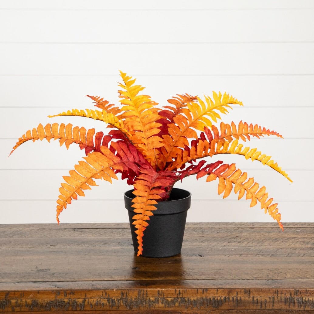 Artificial 13-inch Autumn Boston Fern Plant with orange-red fronds, Nearly Natural, in a black pot on Tampa Home & Garden Store