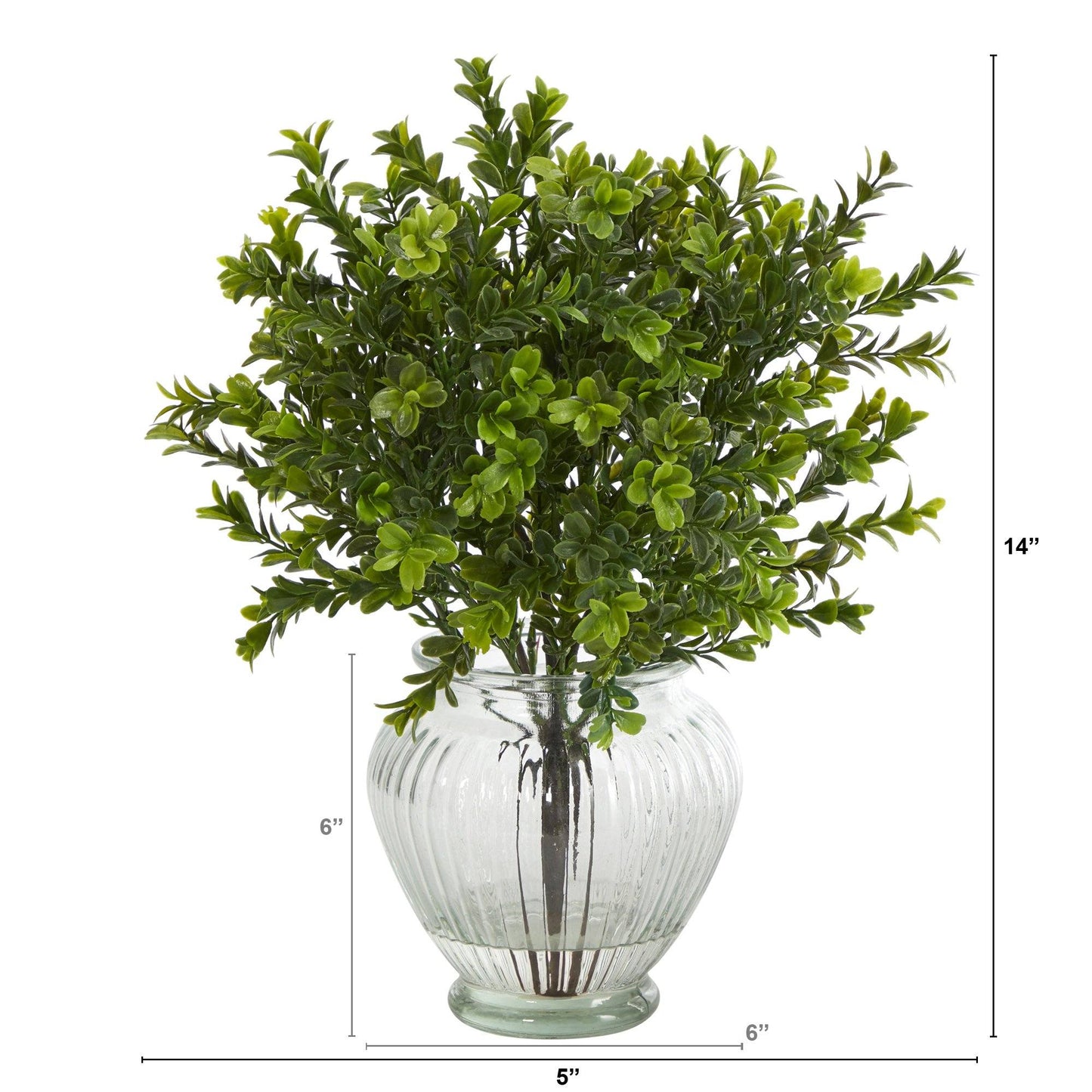 14-inch boxwood artificial plant in glass planter Nearly Natural indoor/outdoor on Tampa Home & Garden Store