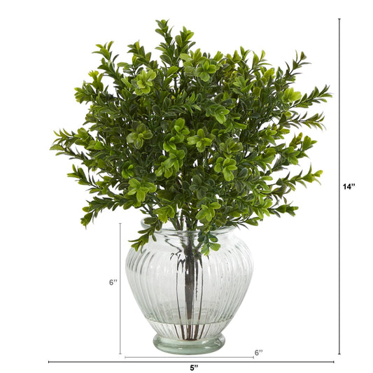 14-inch boxwood artificial plant in glass planter Nearly Natural indoor/outdoor on Tampa Home & Garden Store
