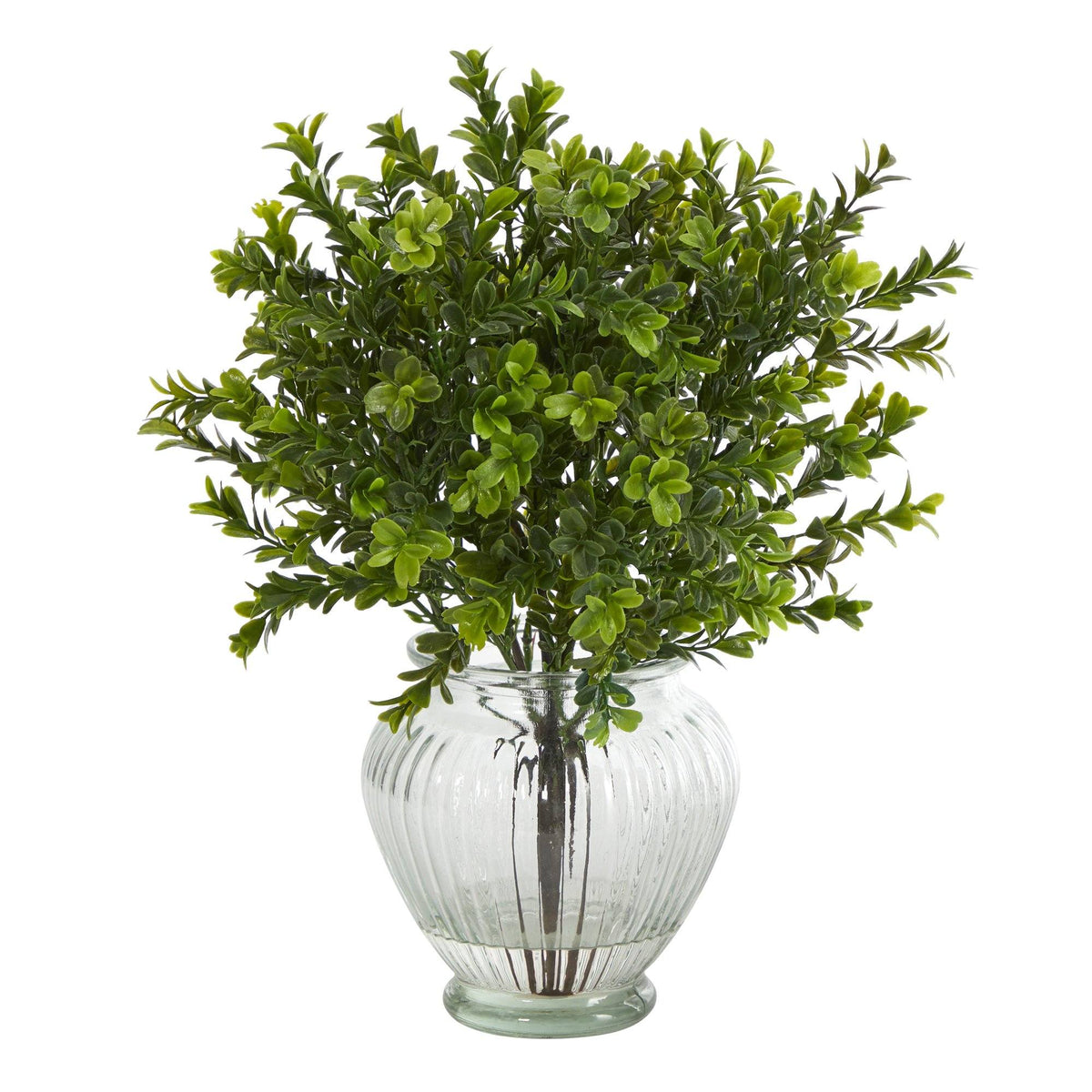 14” Boxwood artificial plant in glass planter with ribbed vase Nearly Natural indoor outdoor on Tampa Home & Garden Store