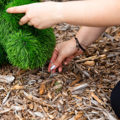 Nearly Natural 14in UV-resistant artificial grass topiary bear being shaped outdoors on Tampa Home & Garden Store