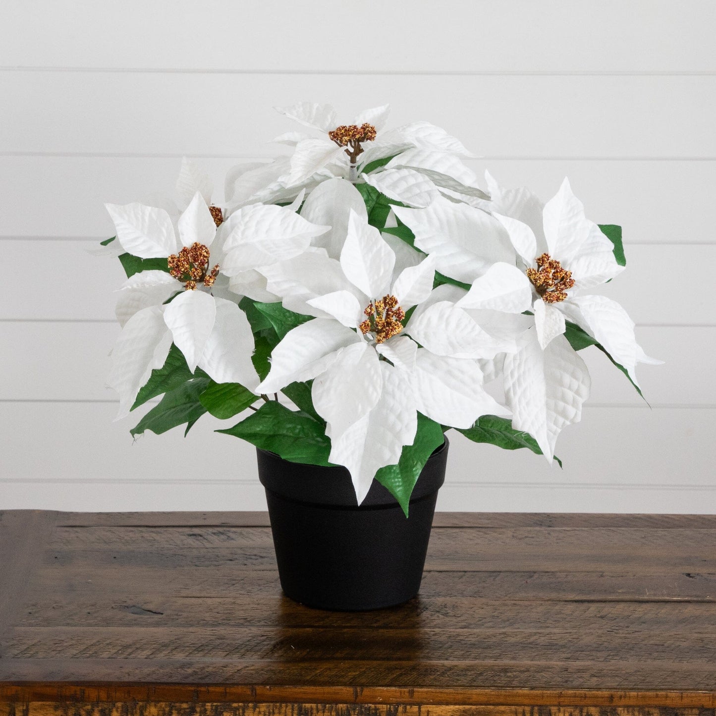 15in artificial poinsettia plant in planter with white bracts and green leaves on Tampa Home & Garden Store
