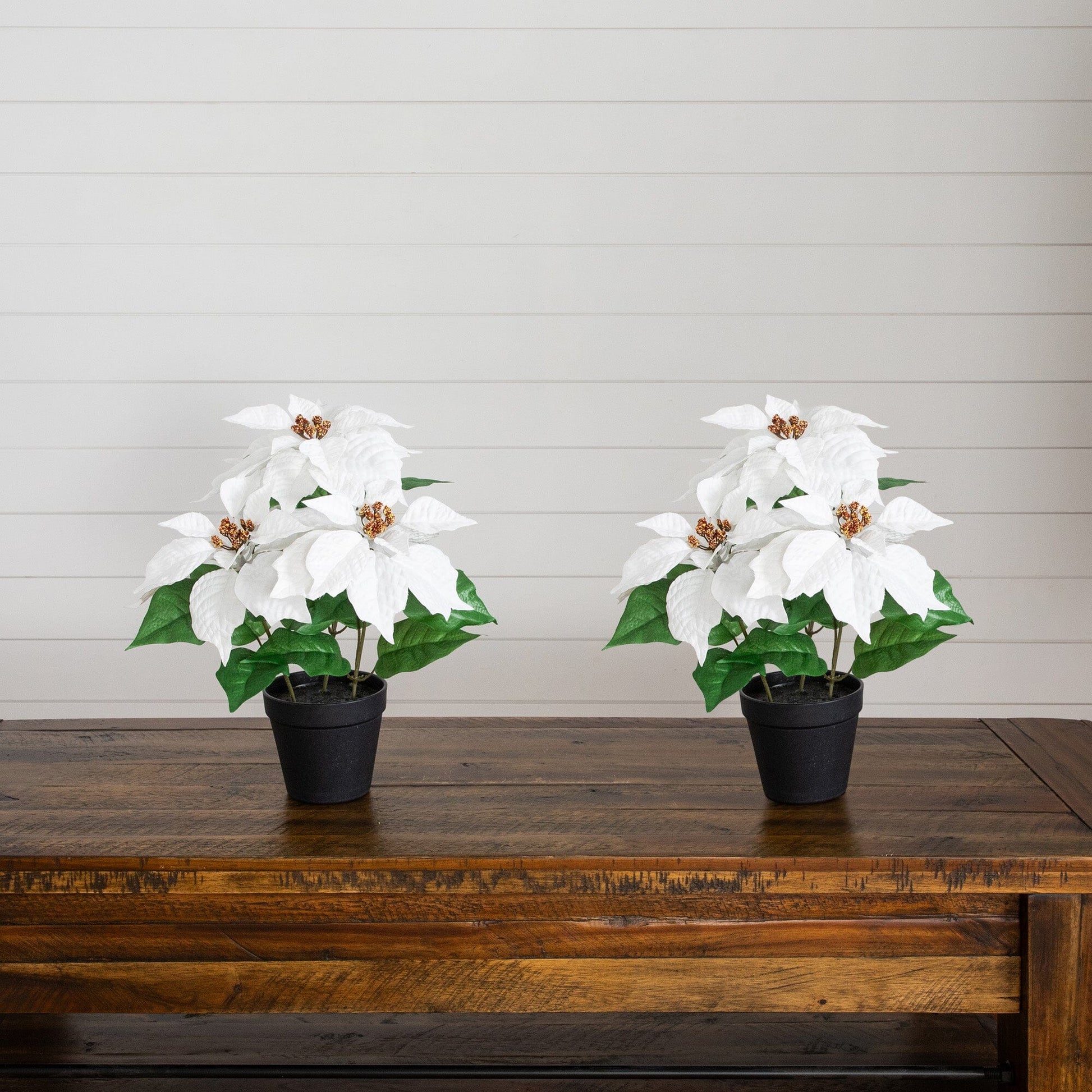 15in artificial poinsettia plant 2-pack by Nearly Natural in black pots with white blooms on Tampa Home & Garden Store