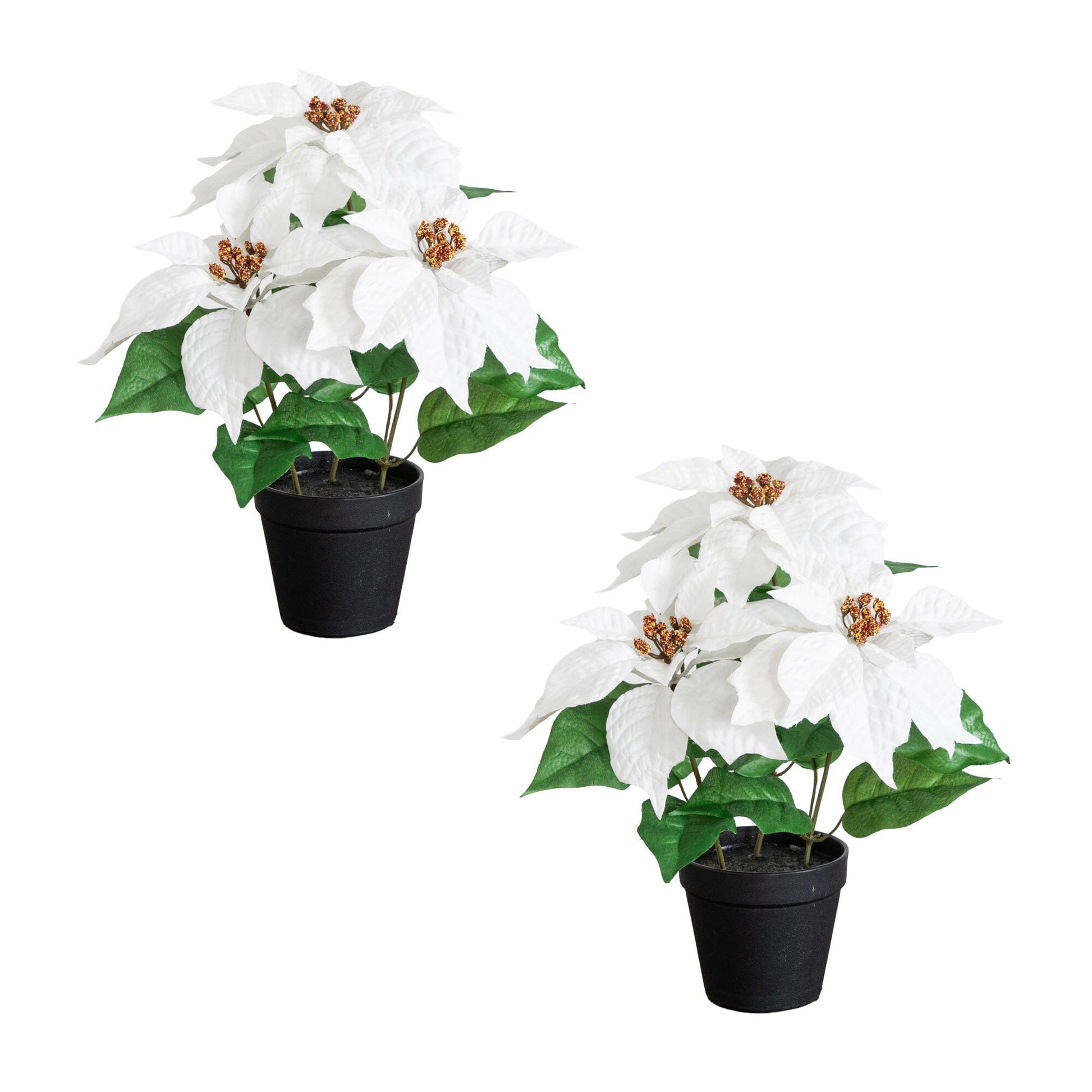 Artificial poinsettia plant set of 2 in black planters, white blooms with gold centers on Tampa Home & Garden Store