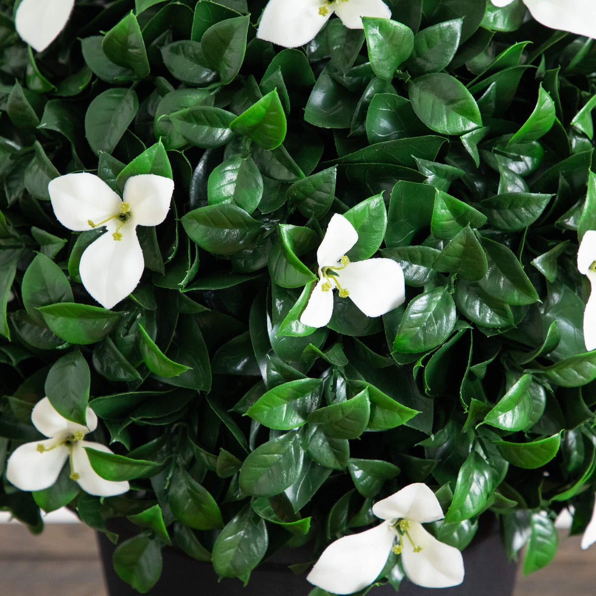Artificial boxwood gardenia topiary plant 15in UV resistant indoor outdoor Nearly Natural on Tampa Home & Garden Store