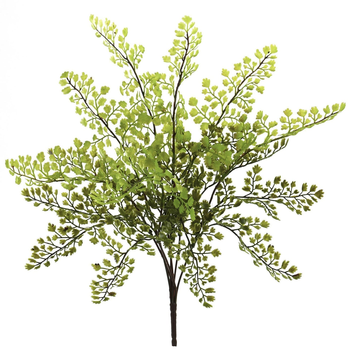 Planta artificial de Adiantum de 15" (Paquete de 12)