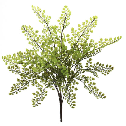 Planta artificial de Adiantum de 15" (Paquete de 12)