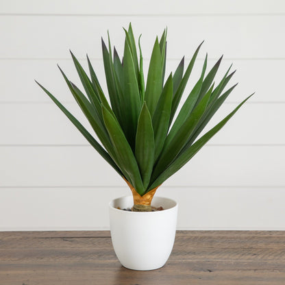 Artificial agave plant in white planter 15in, UV resistant, Nearly Natural indoor/outdoor on Tampa Home & Garden Store