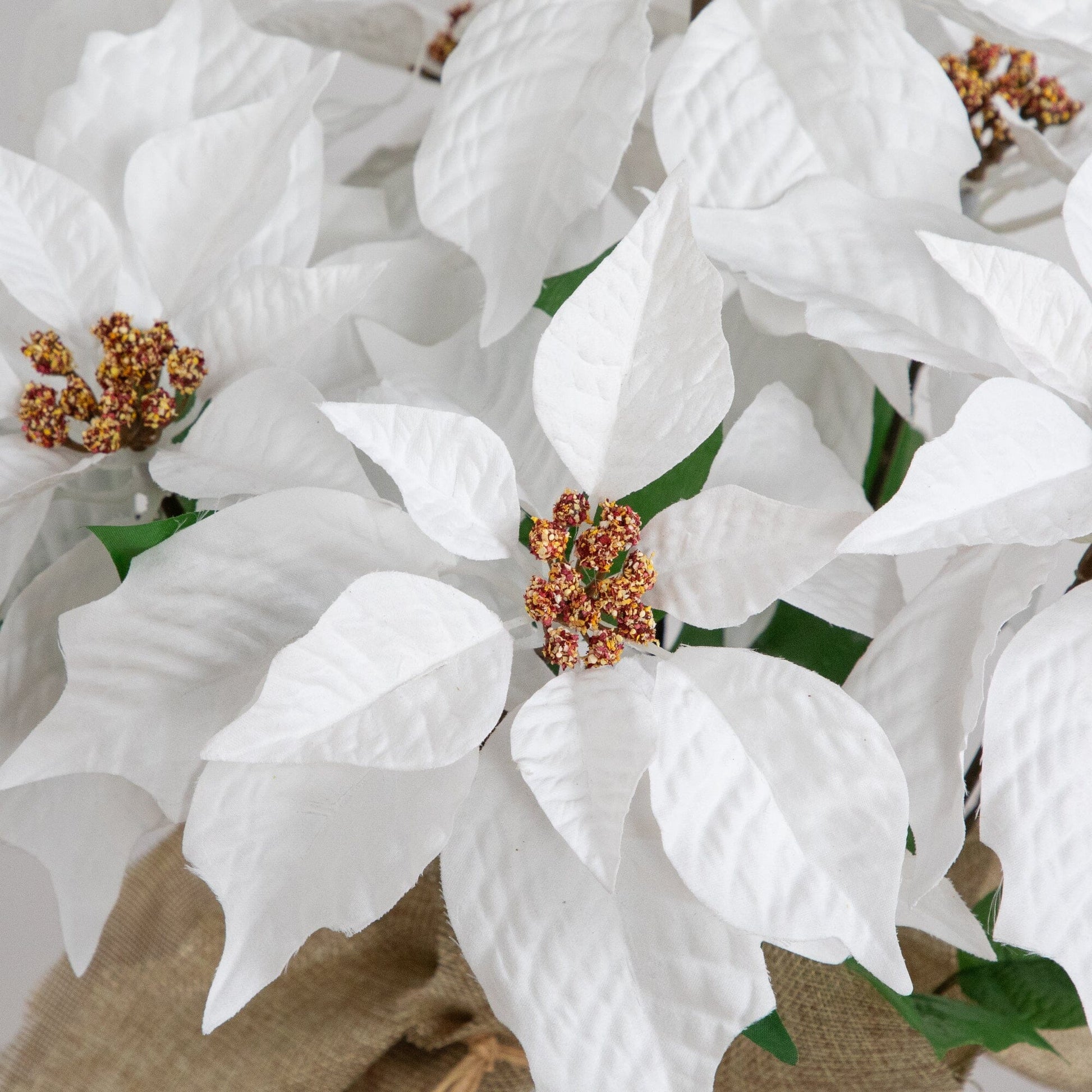 16 inch artificial poinsettia arrangement with white bracts in burlap planter on Tampa Home & Garden Store