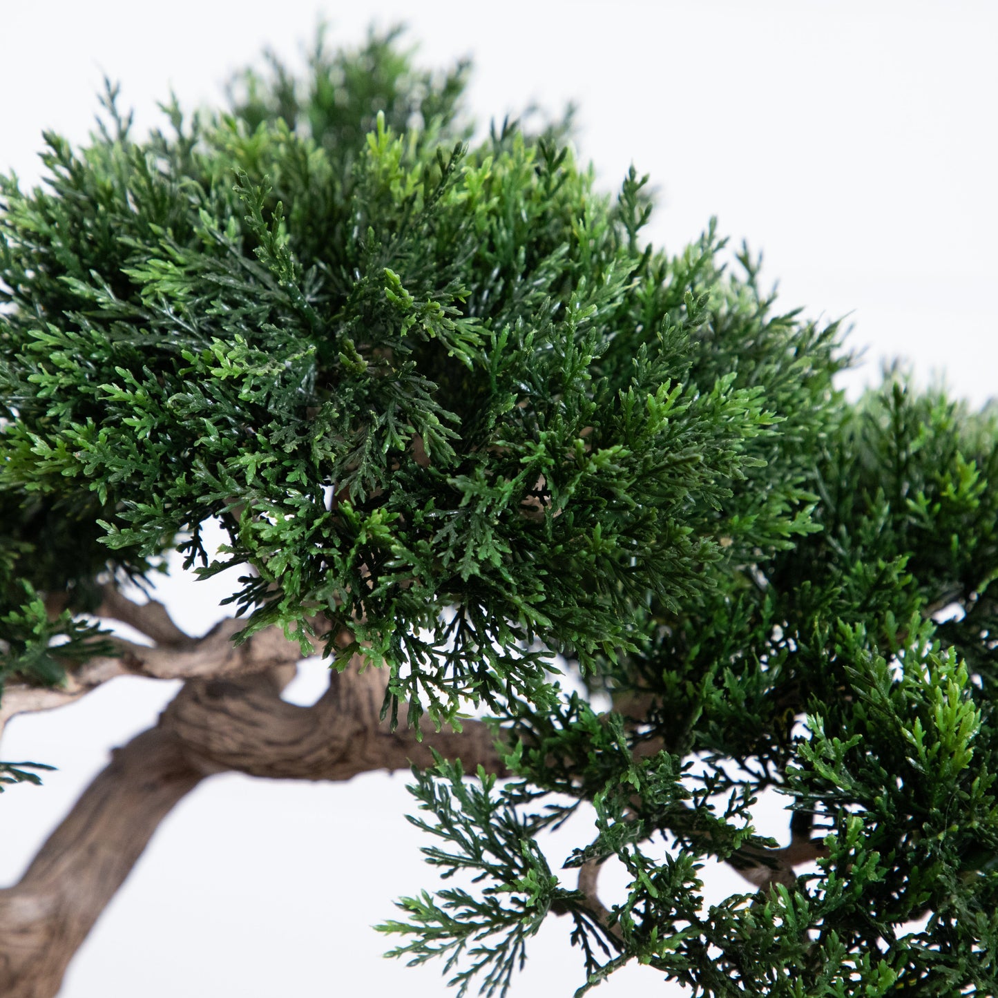 Cedar Bonsai 16" Silk Plant"