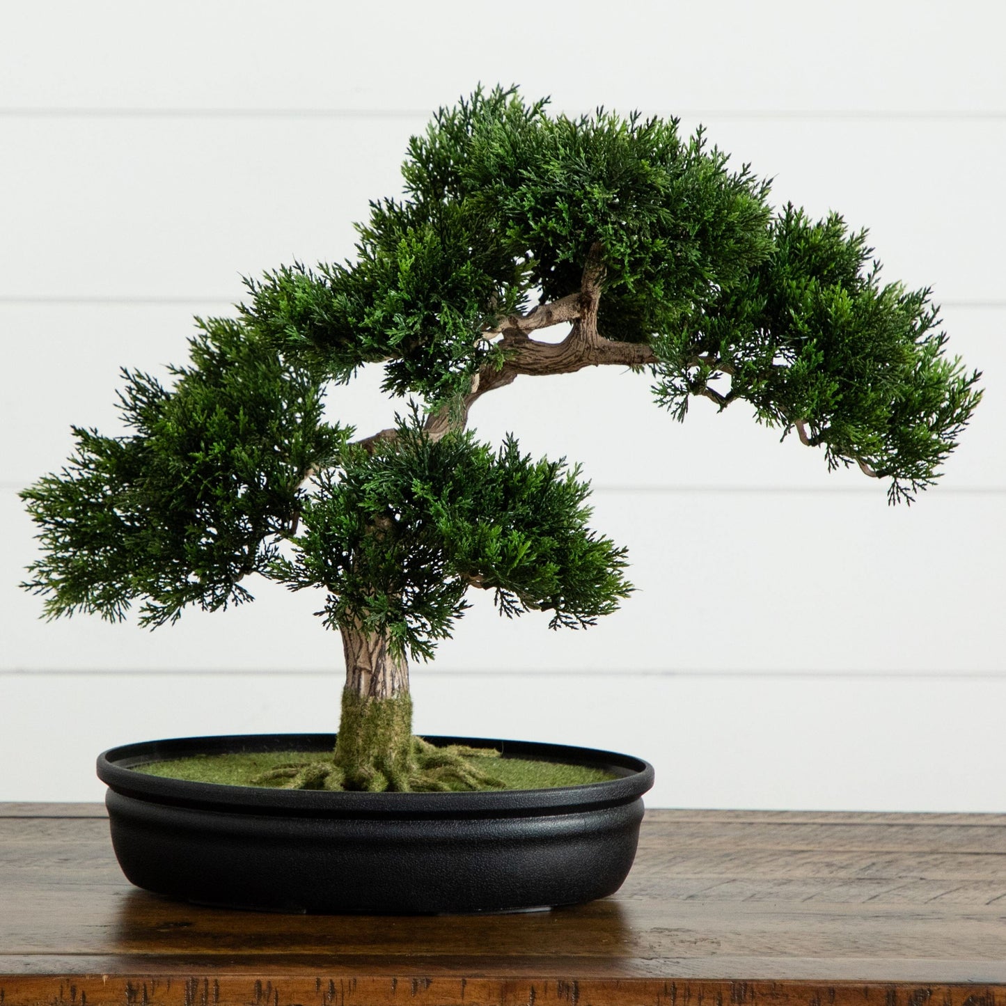 Cedar Bonsai 16" Silk Plant"