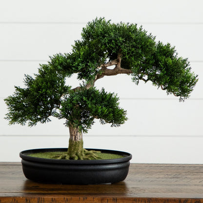 Cedar Bonsai 16" Silk Plant"