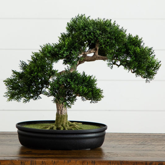 Cèdre Bonsaï Plante Artificielle 40 cm