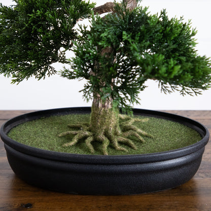 Cedar Bonsai 16" Silk Plant"
