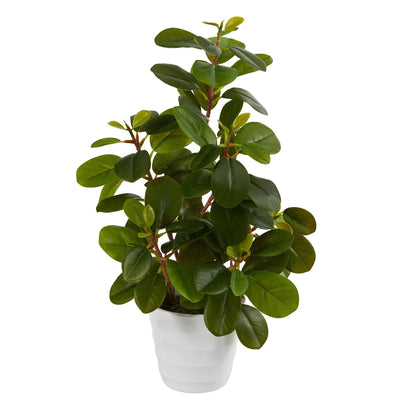 16in Peperomia artificial plant in decorative white planter, Nearly Natural, green leaves on Tampa Home & Garden Store