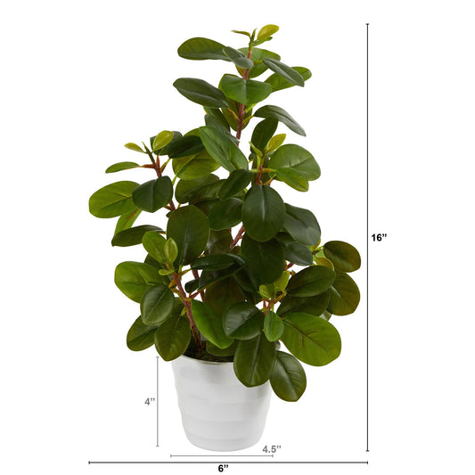 16-inch peperomia artificial plant in white planter with glossy dark green leaves Nearly Natural on Tampa Home & Garden Store