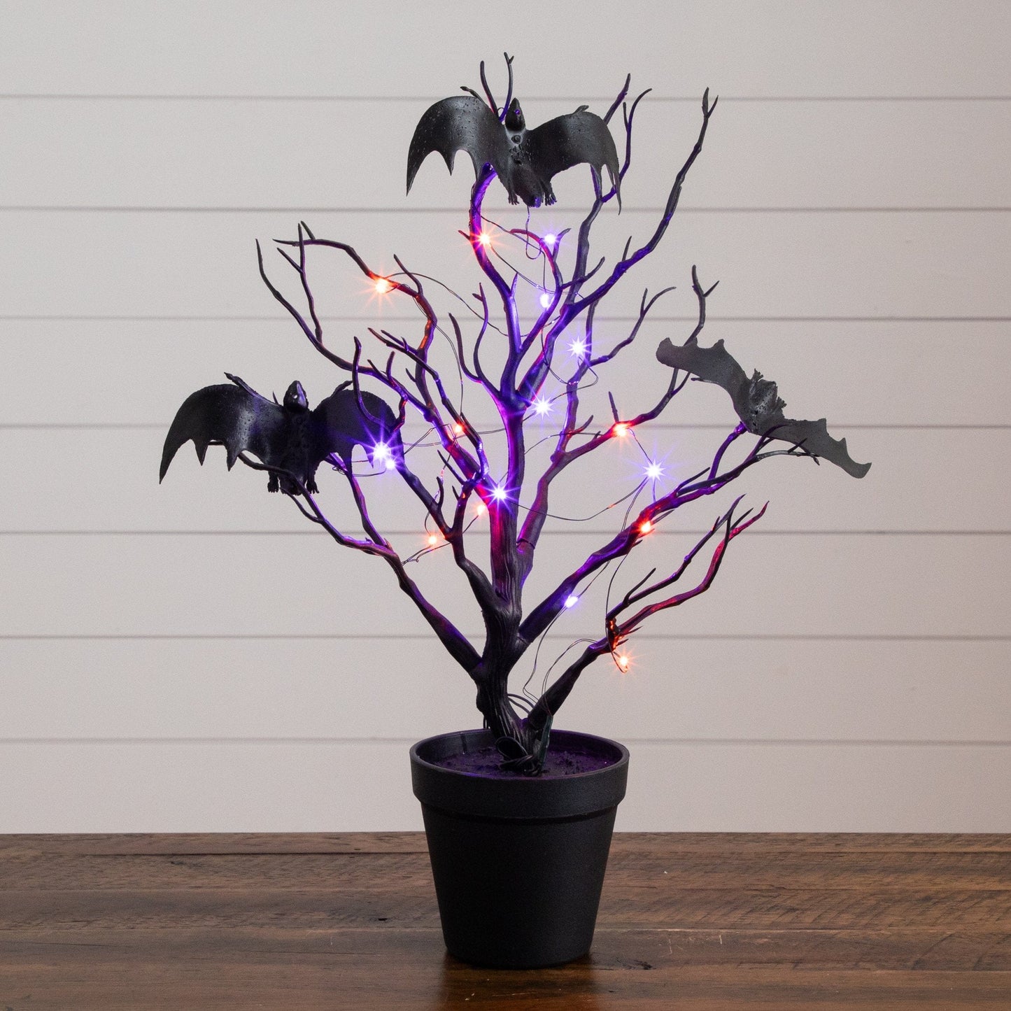 16-inch pre-lit black spooky twig tree with a bat and 20 orange & purple LEDs by Nearly Natural on Tampa Home & Garden Store
