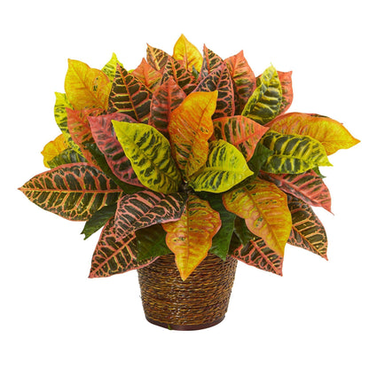 17in Croton artificial plant in basket with colorful variegated leaves by Nearly Natural on Tampa Home & Garden Store