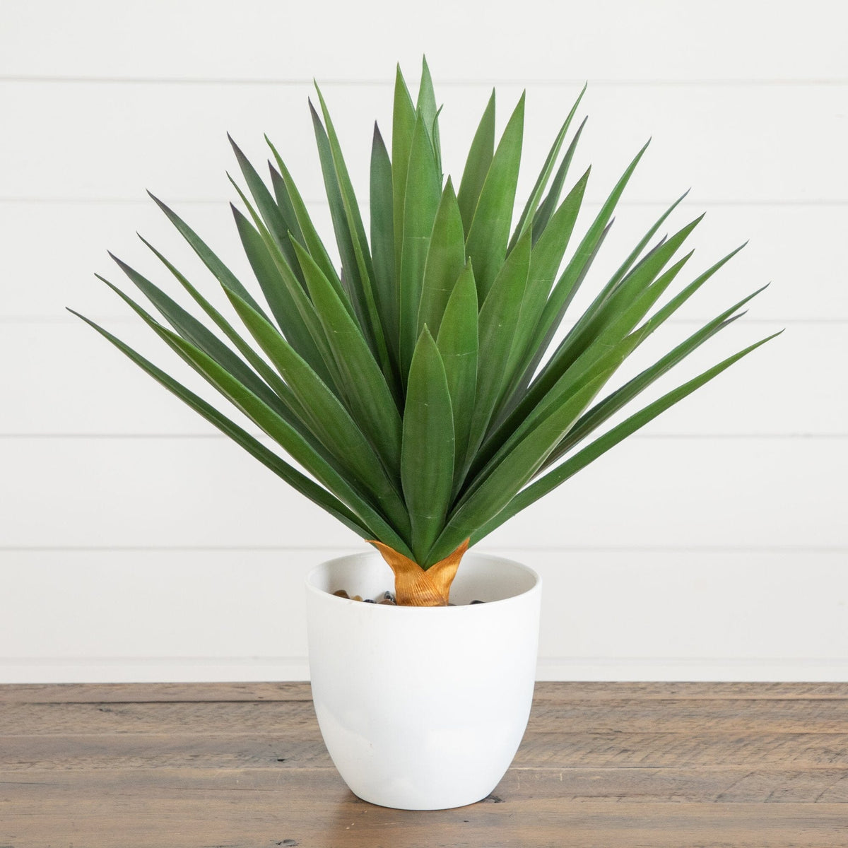 Artificial agave plant in white planter, 17in, UV-resistant, Nearly Natural indoor/outdoor on Tampa Home & Garden Store