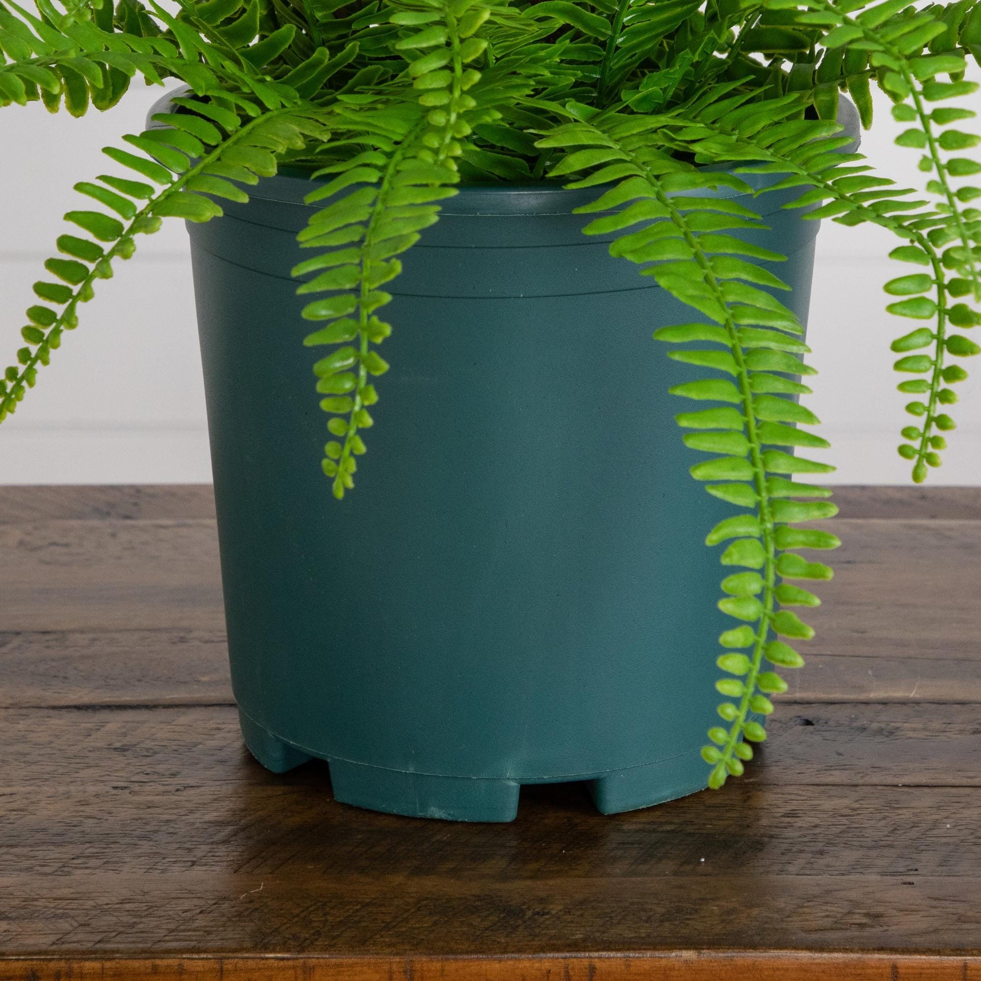 17-inch UV resistant artificial Boston fern plant in a dark teal pot indoor/outdoor by Nearly Natural on Tampa Home & Garden Store