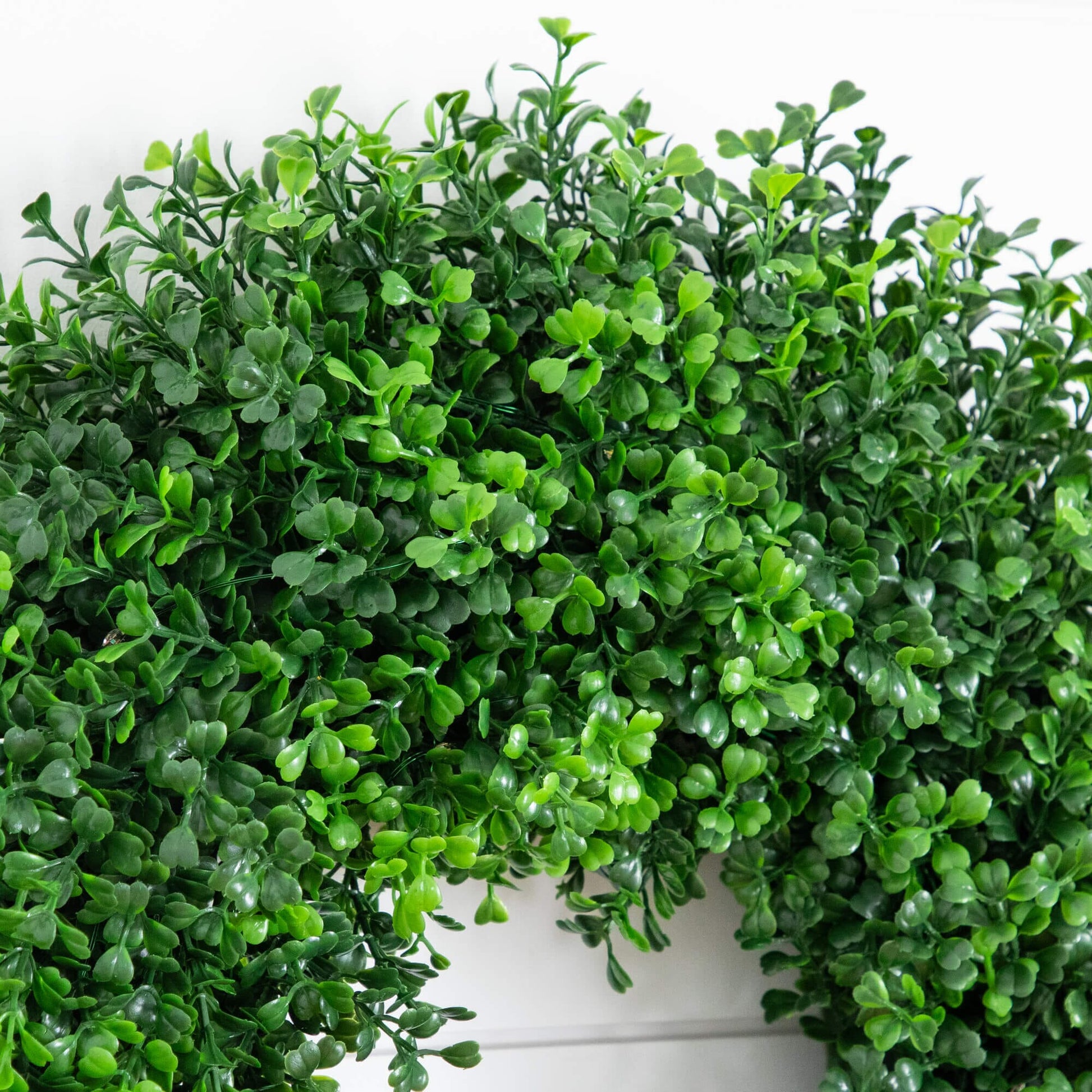 18in pre-lit boxwood wreath with 25 warm white LEDs, Nearly Natural artificial greenery on Tampa Home & Garden Store
