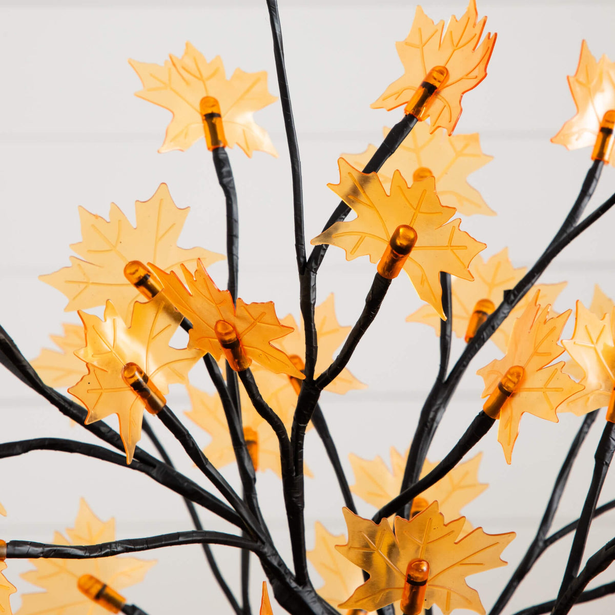 18in pre-lit maple artificial tree with 48 warm white maple-shaped LEDs and orange leaves on Tampa Home & Garden Store