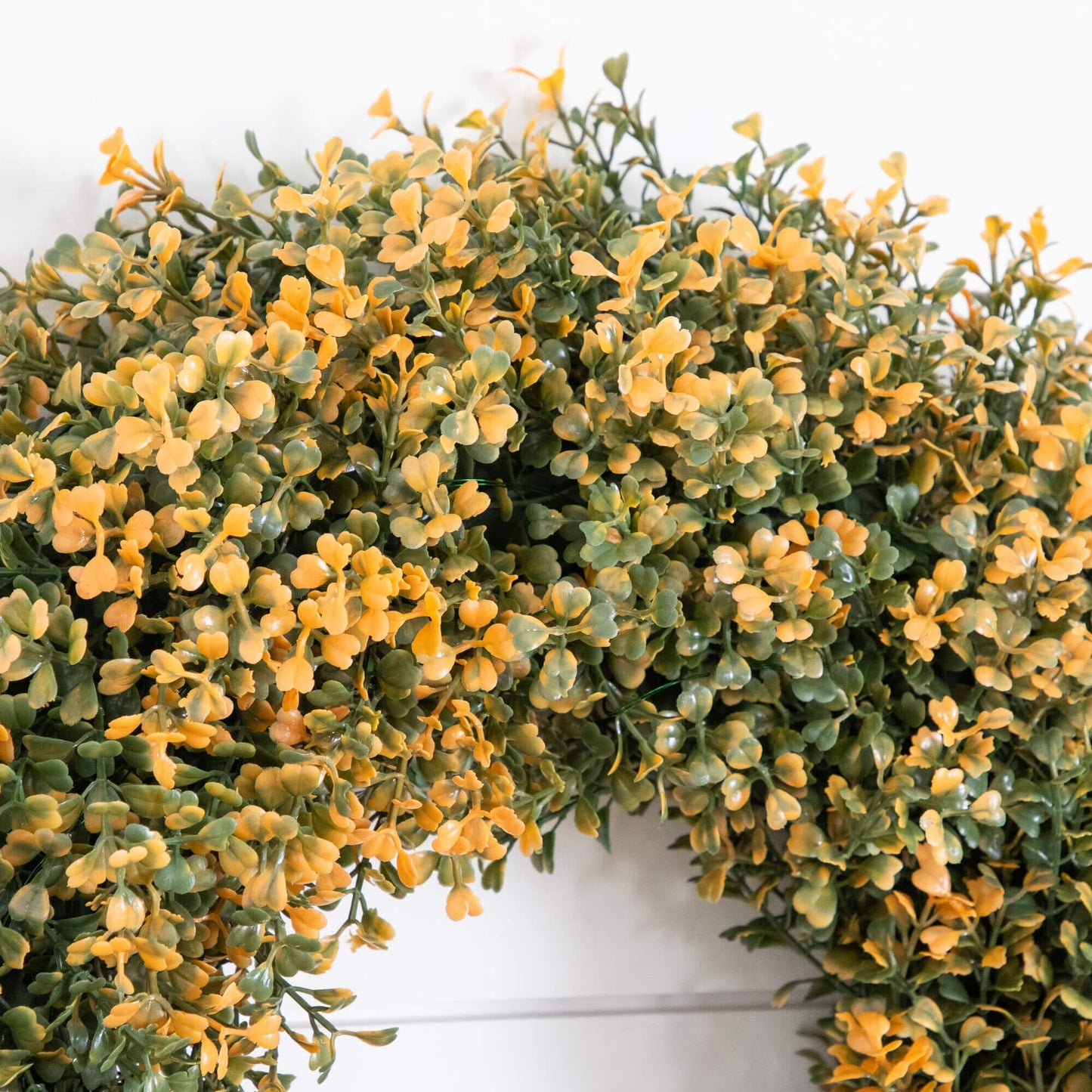 18in artificial autumn boxwood wreath with yellow-green leaves on Tampa Home & Garden Store