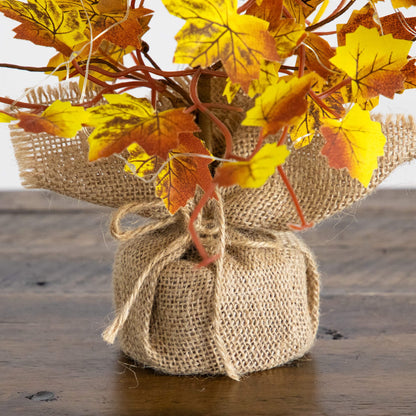 18in Autumn Maple artificial tree in burlap base with yellow leaves and 30 LED lights on Tampa Home & Garden Store