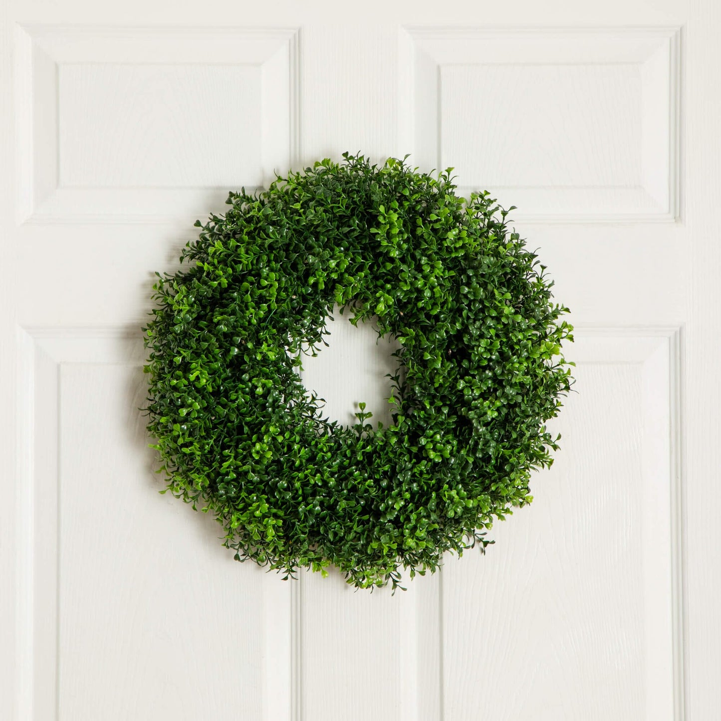 18-inch pre-lit artificial boxwood wreath with warm white LEDs on white door on Tampa Home & Garden Store