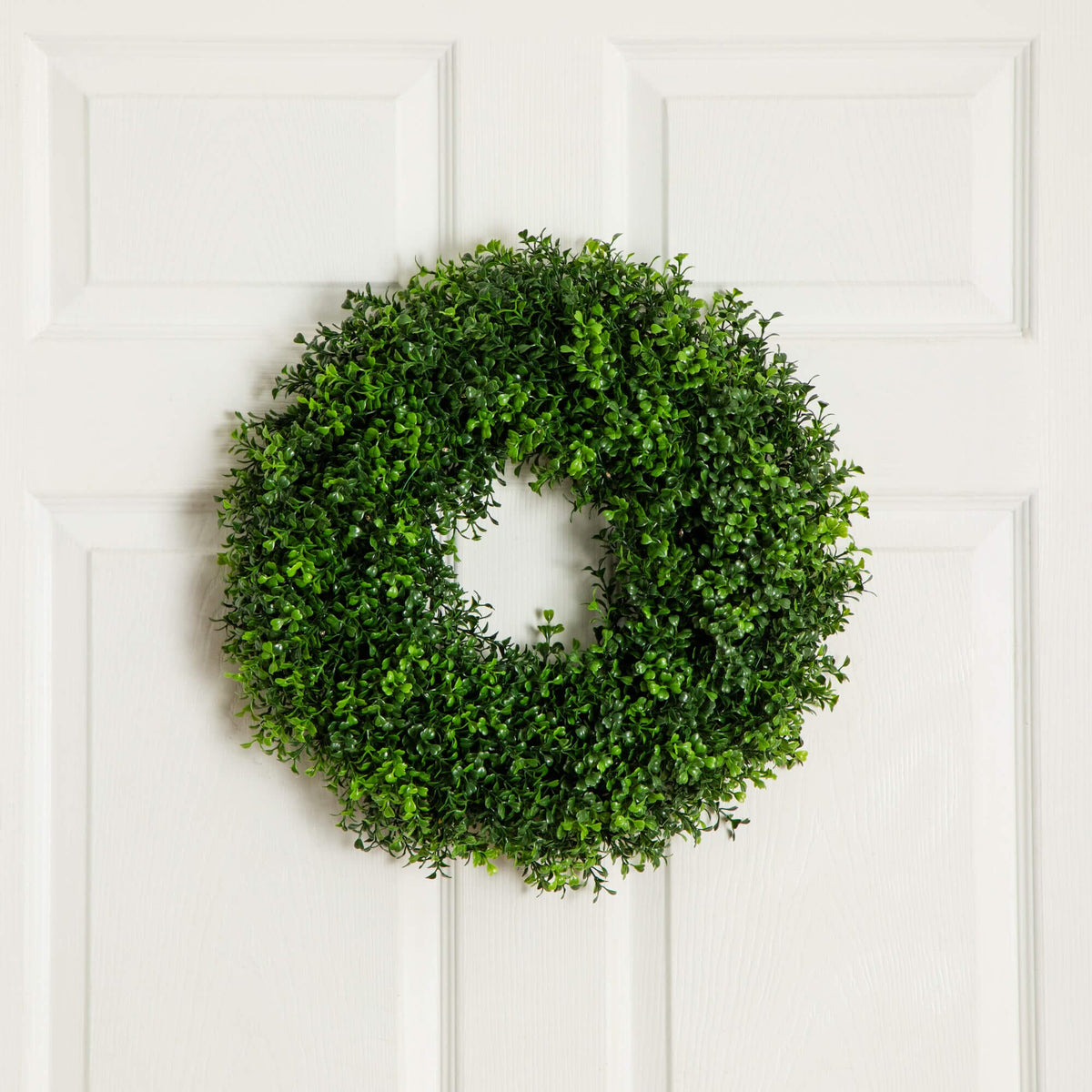 18-inch pre-lit artificial boxwood wreath with warm white LEDs on white door on Tampa Home & Garden Store