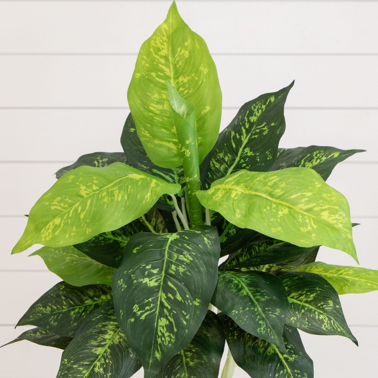 19 Inch Artificial Dieffenbachia Plant Set of 6