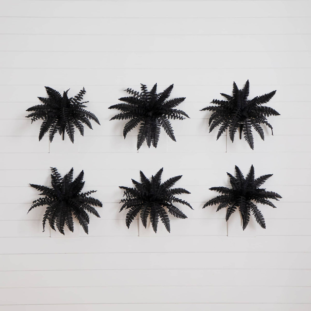 19in artificial Halloween Black Boston Ferns, set of 6 by Nearly Natural, black fern plants on Tampa Home & Garden Store