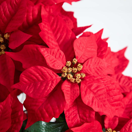 19in artificial poinsettia with vivid red bracts, green leaves and yellow centers Nearly Natural on Tampa Home & Garden Store