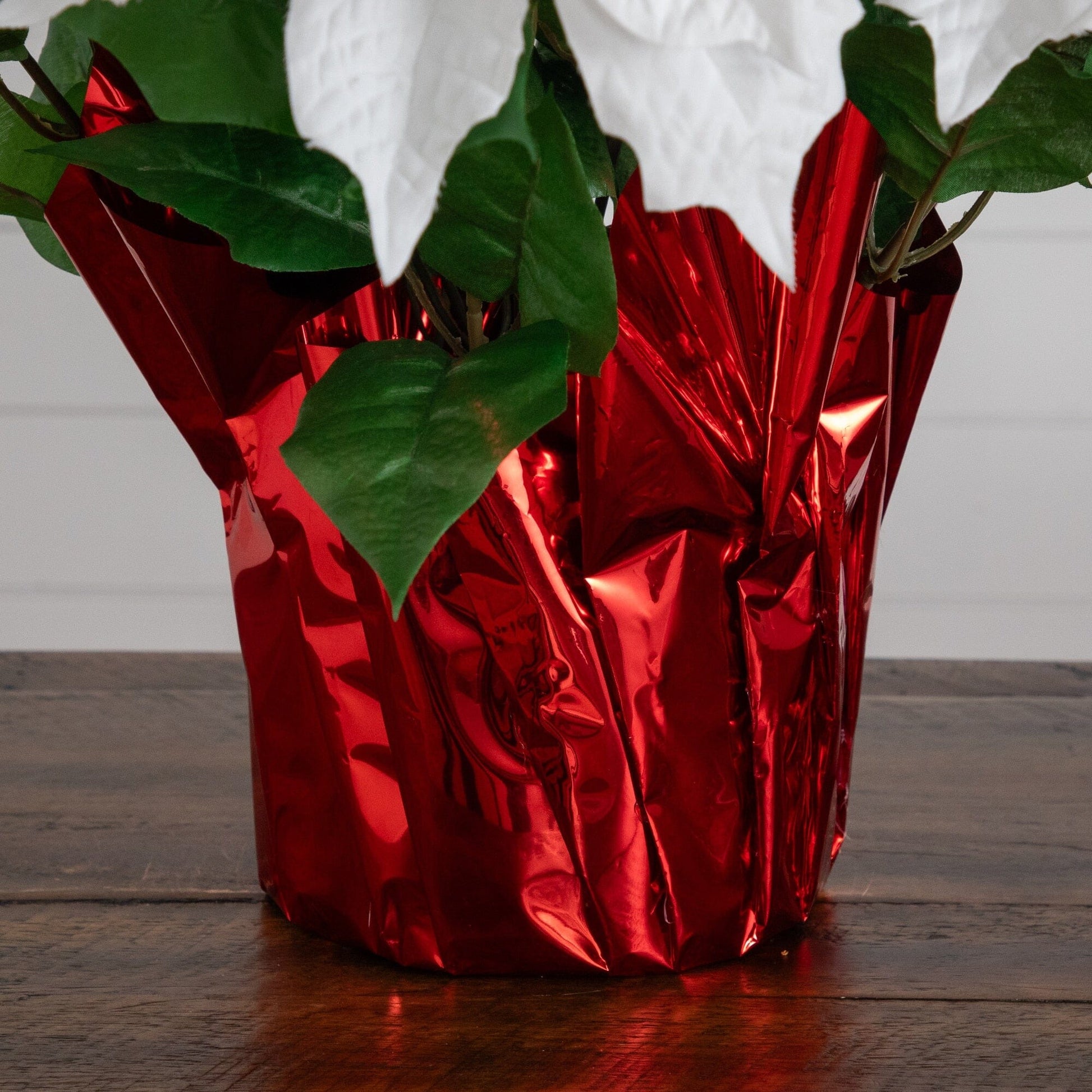19in artificial white poinsettia arrangement in a red wrapped planter with green foliage on Tampa Home & Garden Store