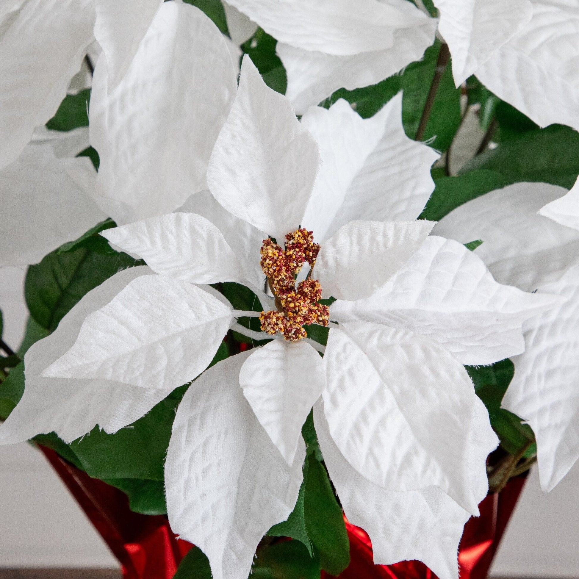 Artificial white poinsettia arrangement in red wrapped planter by Nearly Natural with greens on Tampa Home & Garden Store