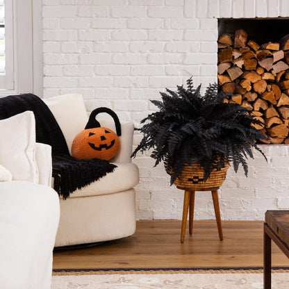 Nearly Natural 19in artificial Halloween Black Boston Fern set of 6 in a wicker basket on Tampa Home & Garden Store