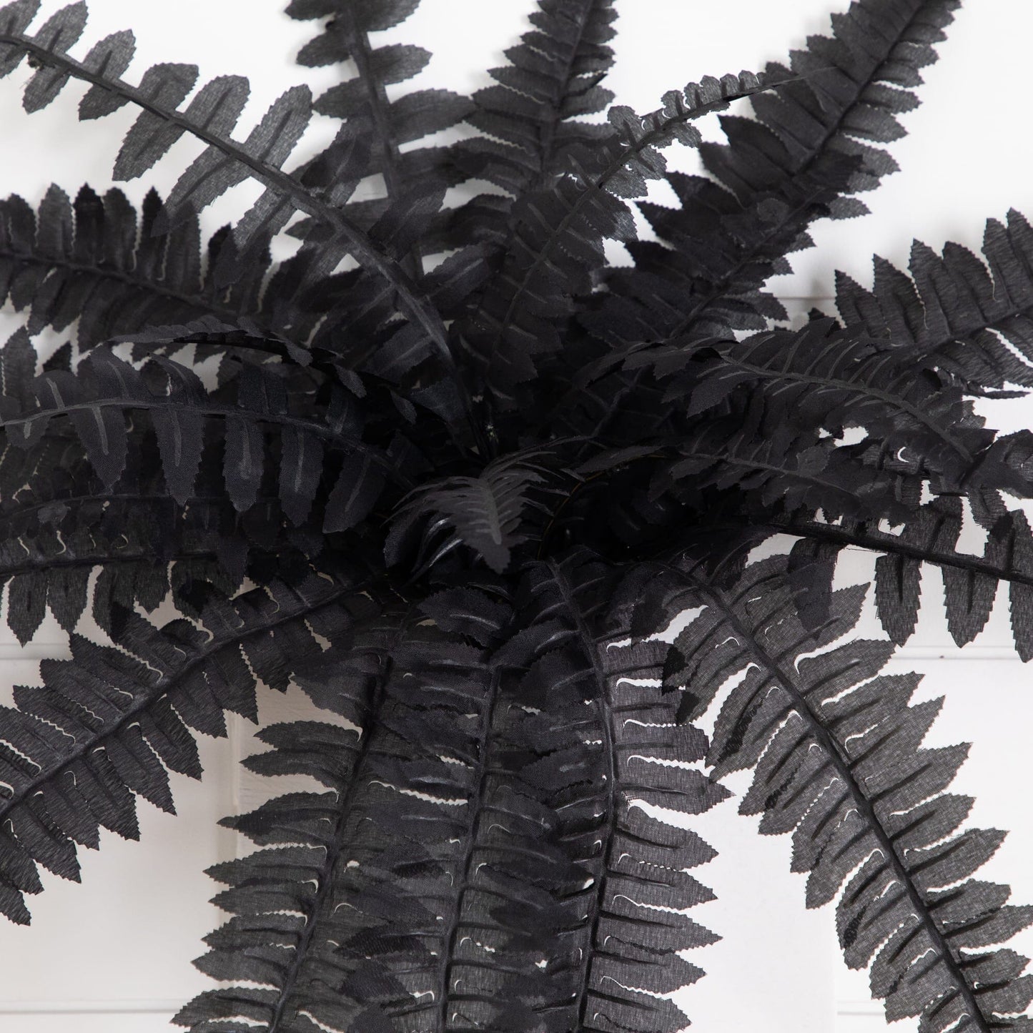 Nearly Natural 19in artificial Halloween Black Boston Fern set of 6 with black fronds on Tampa Home & Garden Store