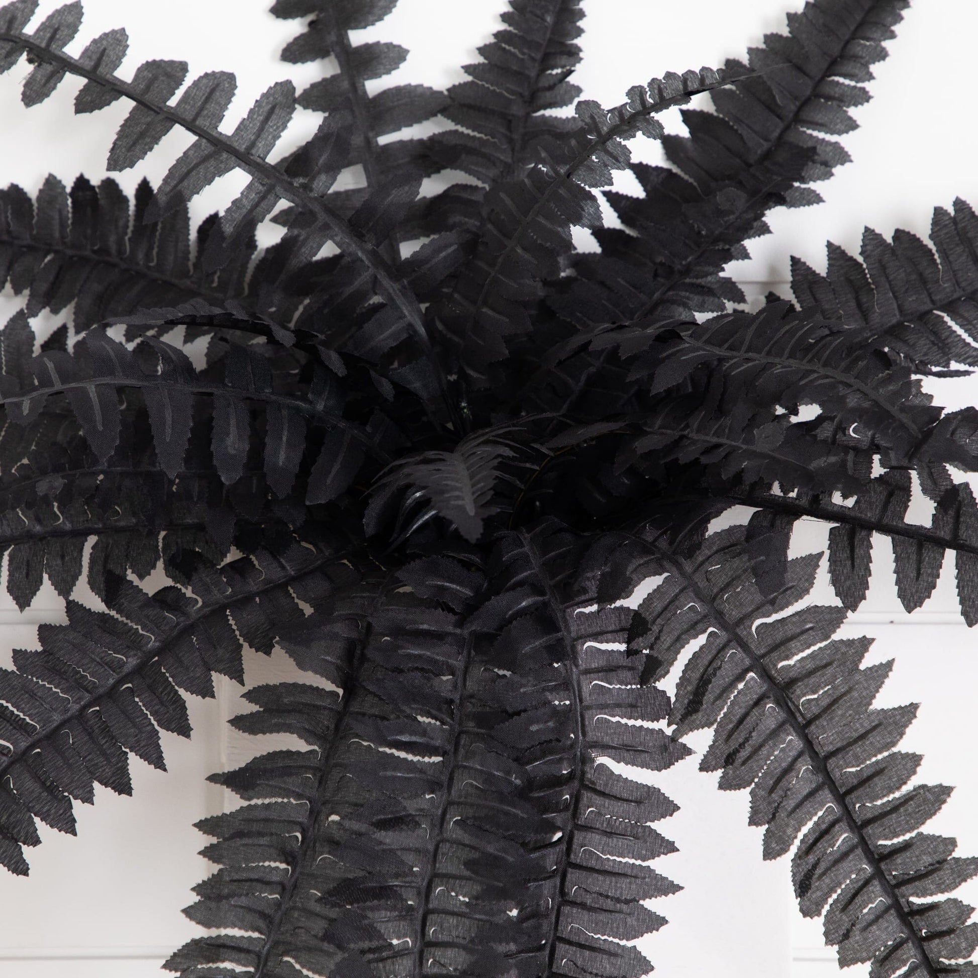 Nearly Natural 19in artificial Halloween Black Boston Fern set of 6 with black fronds on Tampa Home & Garden Store
