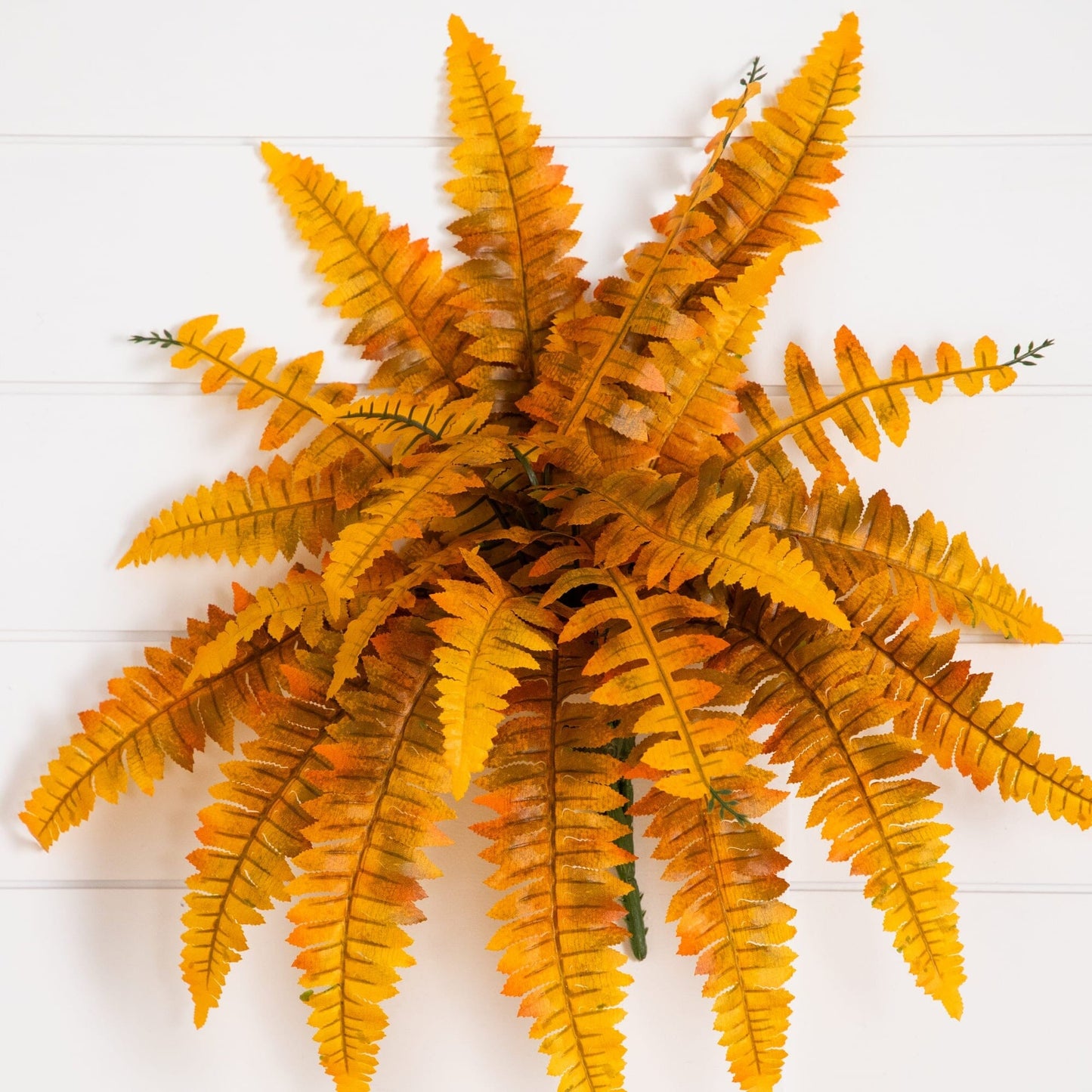 19in Autumn Artificial Fall Boston Fern set of 6 by Nearly Natural with orange fronds on Tampa Home & Garden Store