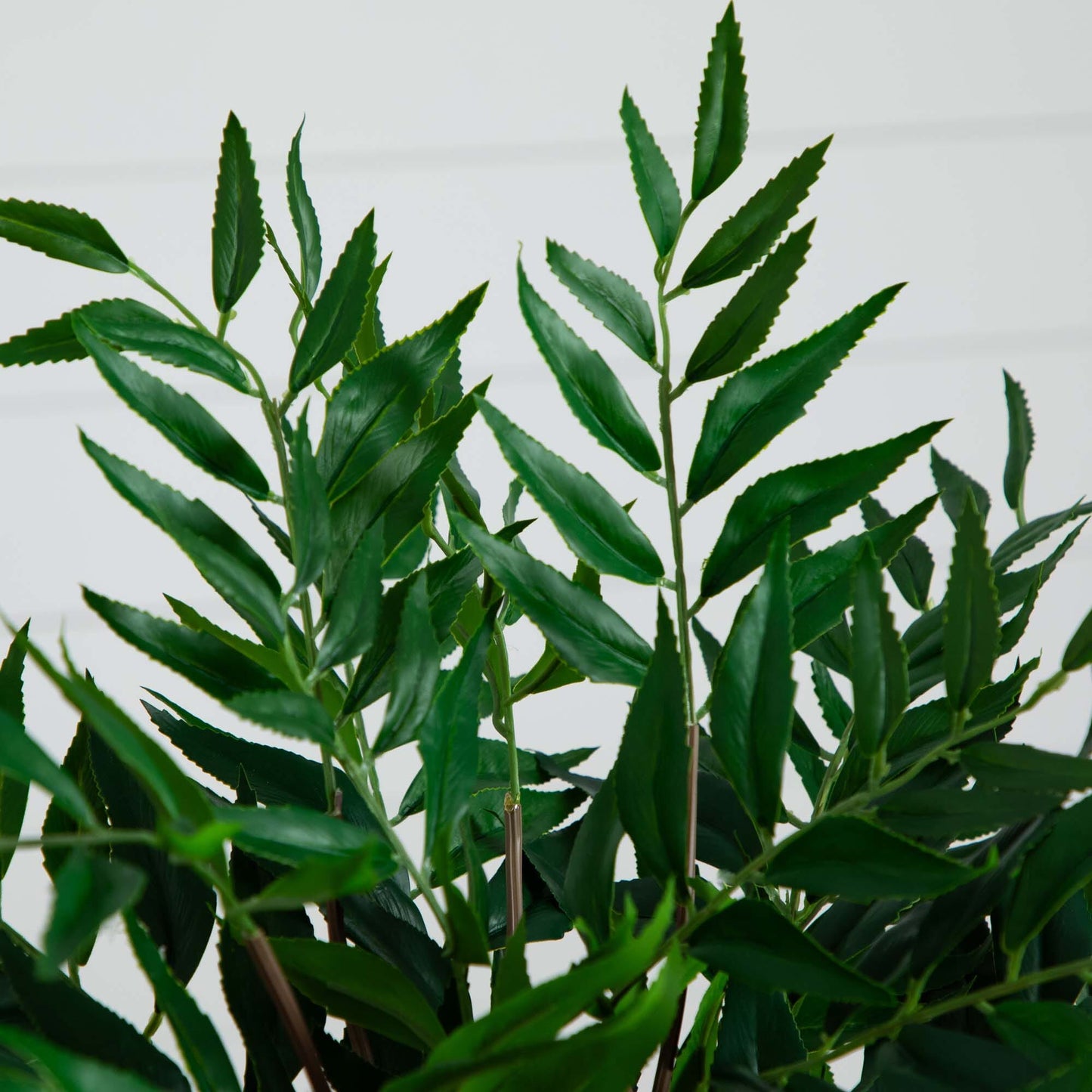 Arreglo de helechos palmeados de 19” en jarrón de vidrio